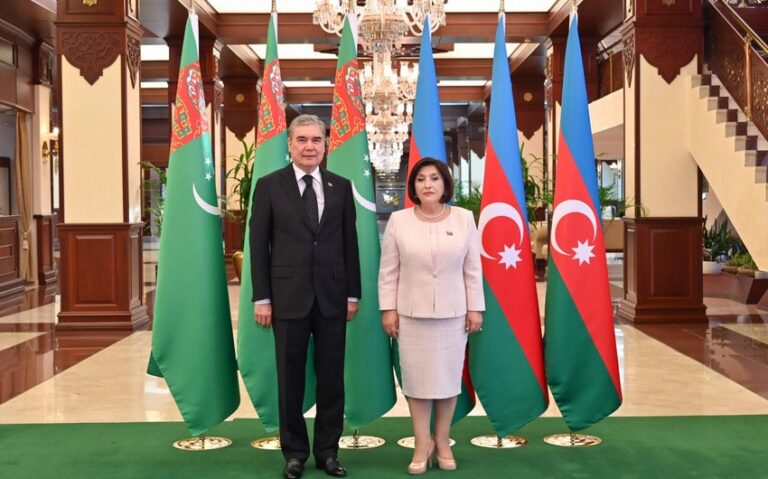 Milli Məclisin sədri Qurbanqulu Berdiməhəmmədov ilə görüşüb