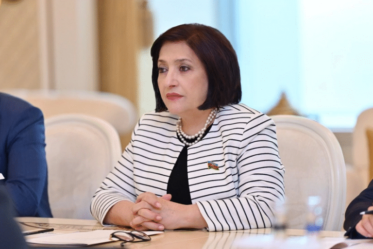 Sahibə Qafarova: Azərbaycan-Serbiya münasibətlərinin inkişafı üçün böyük potensial var