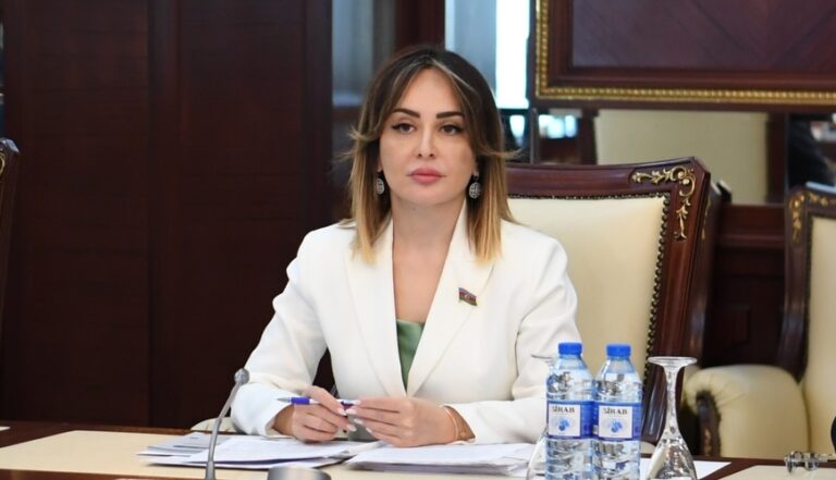 Dövlət xidmətləri haqqında qanuna niyə ehtiyac yaranıb? – Deputat izah etdi