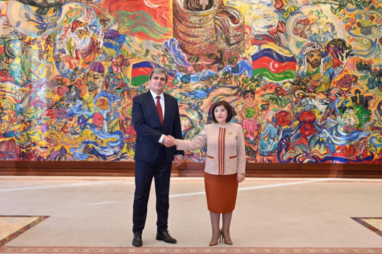 Sahibə Qafarova Monteneqro XİN rəhbəri ilə görüşüb