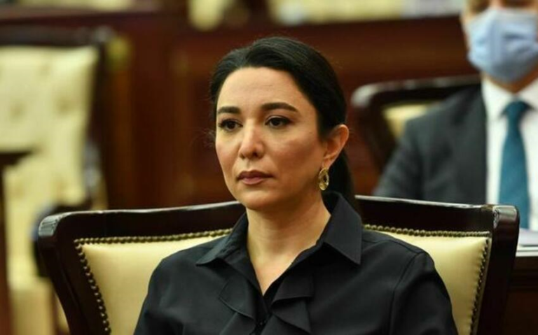 Səbinə Əliyeva: “Güclü audit sistemi korrupsiya risklərinin azaldılmasına töhfə verir”