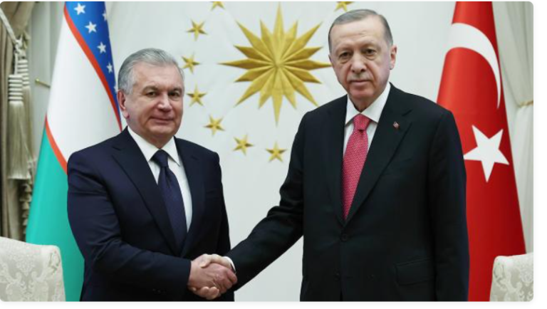 Ərdoğan Şavkat Mirziyoyevi COP31-ə dəvət edib
